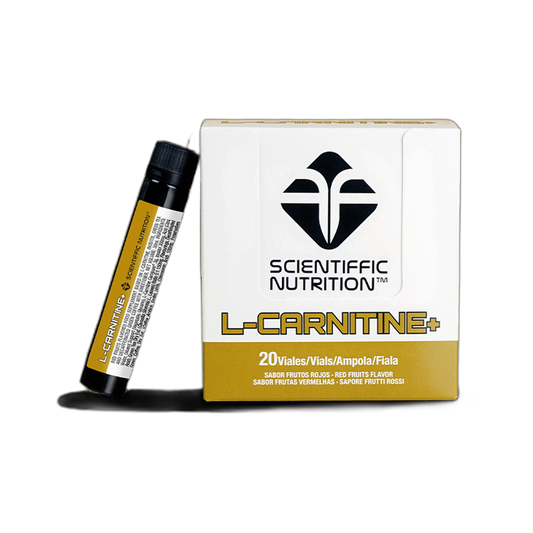 L-Carnitina | Scientiffic Nutrition